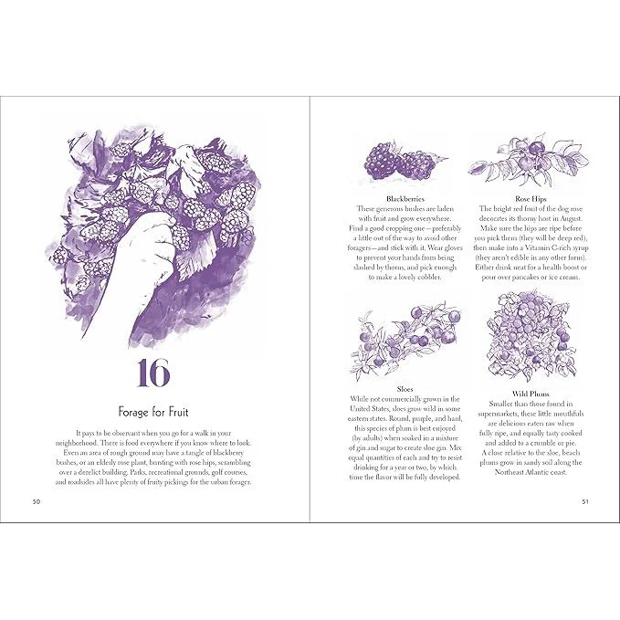 50 THINGS TO DO IN THE URBAN WILD BY CLARE GOGERTY - Image 3