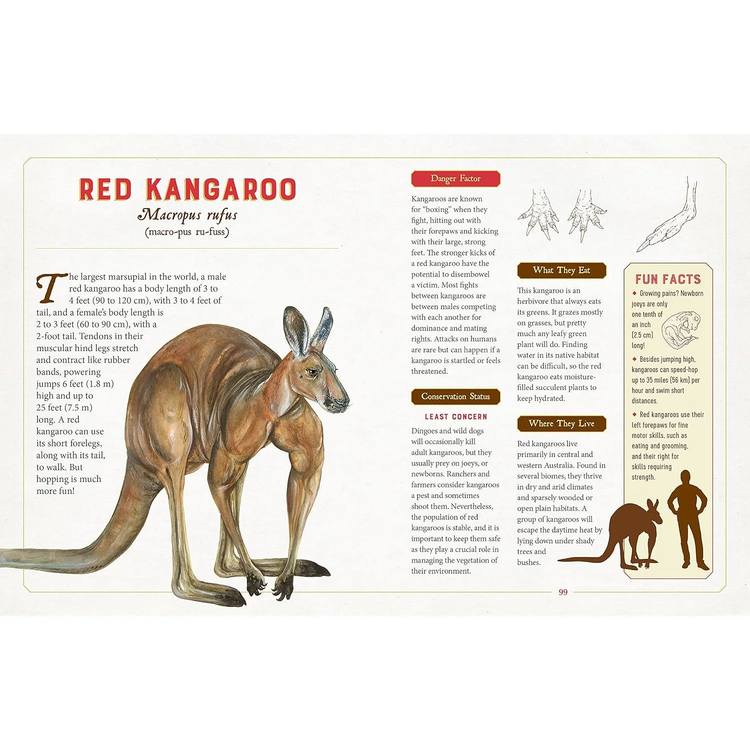 A CURIOUS COLLECTION OF DANGEROUS CREATURES: AN ILLUSTRATED ENCYCLOPEDIA BY SAMI BAYLY - Image 4