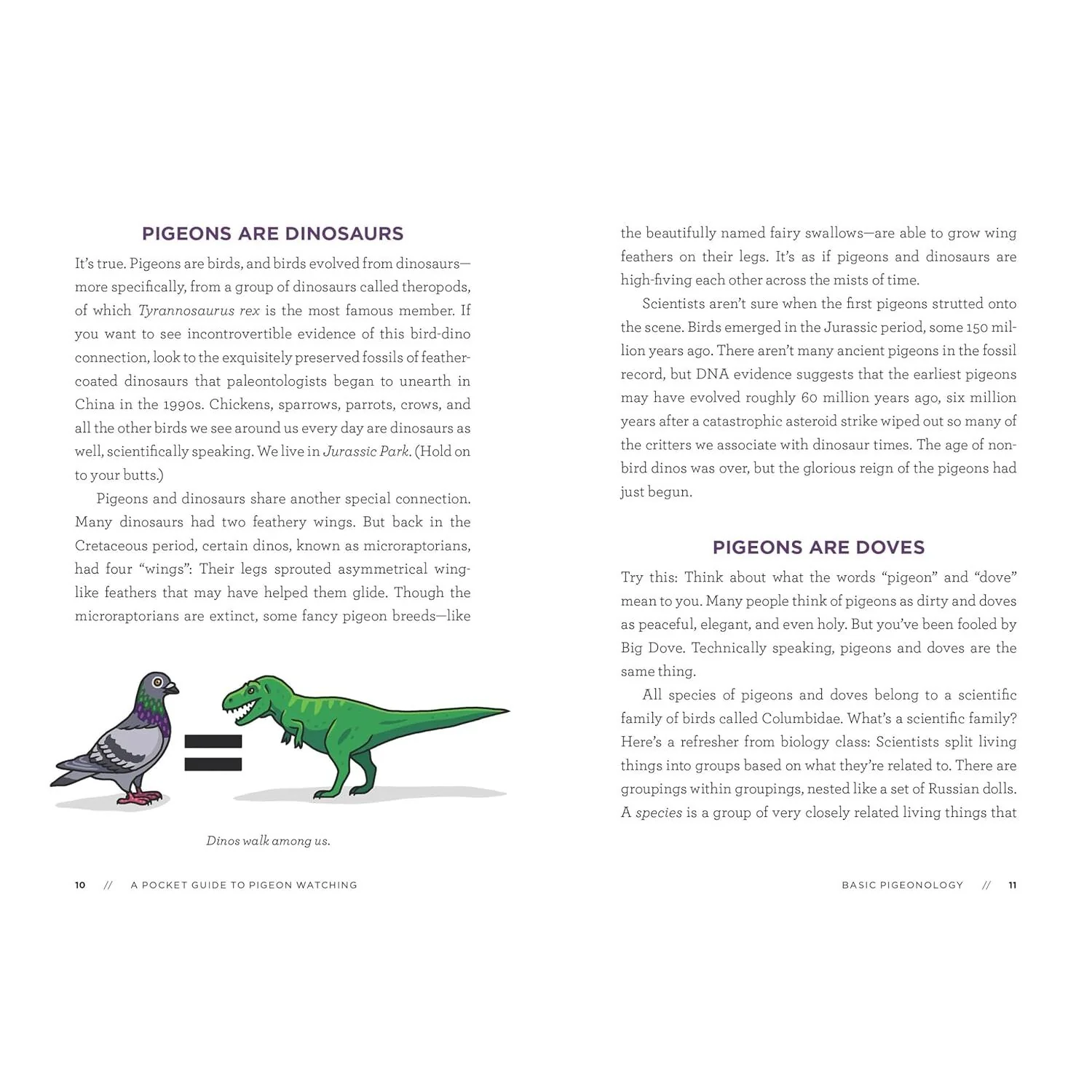 A POCKET GUIDE TO PIGEON WATCHING BY ROSEMARY MOSCO - Image 2