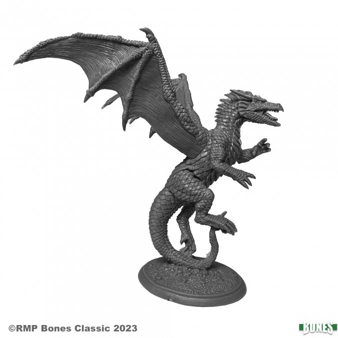 AMBER DRAGON