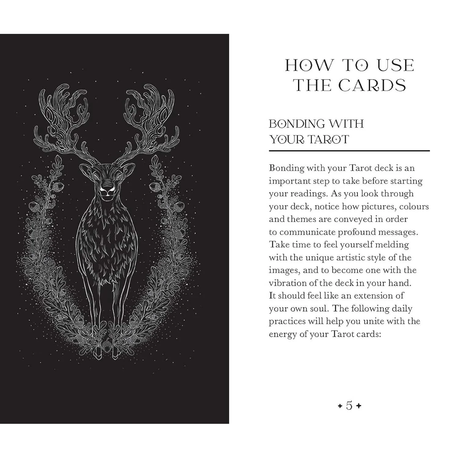 ANIMAL TAROT -POCKET EDITION- - Image 3
