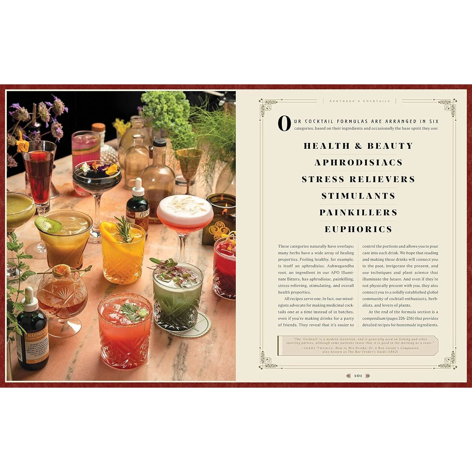 APOTHEKE: MODERN MEDICINAL COCKTAILS BY CHRISTOPHER TIERNEY AND ERIKA BROD - Image 2