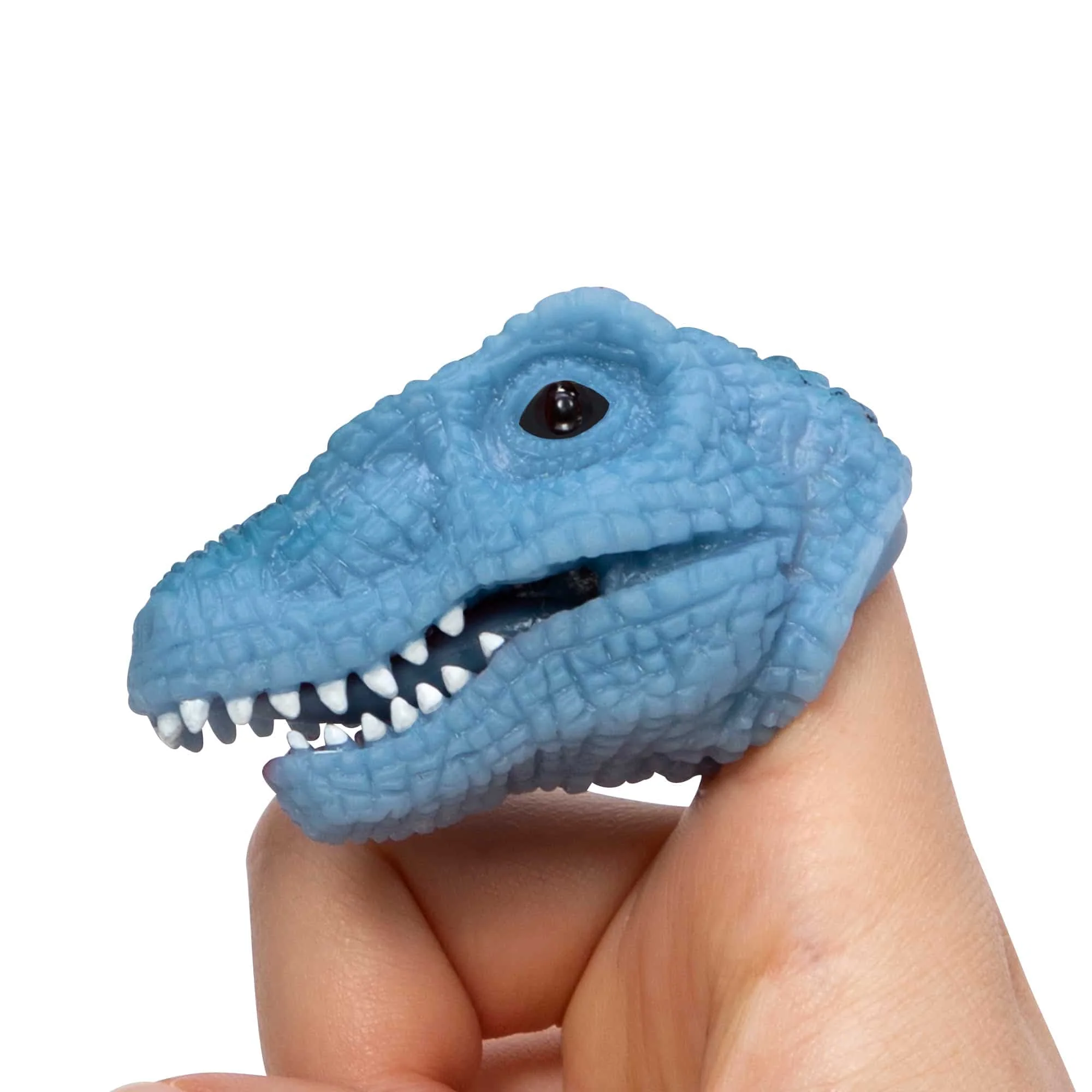 BABY DINO SNAPPERS - Image 4