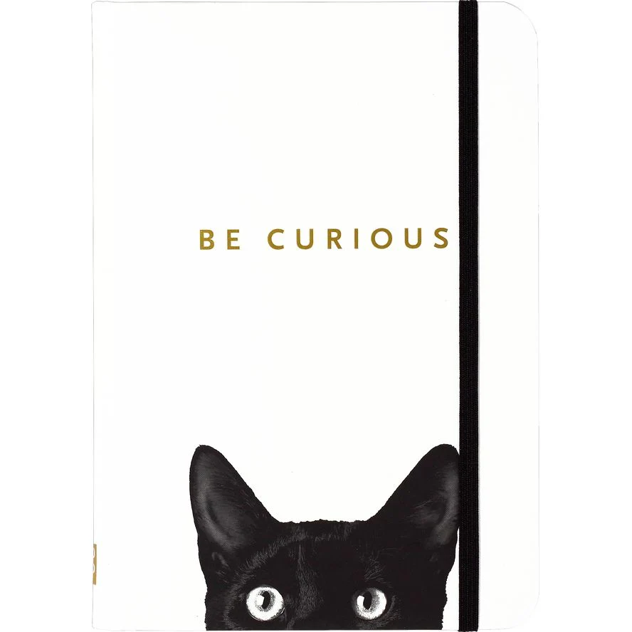 BE CURIOUS VOID CAT BLANK JOURNAL