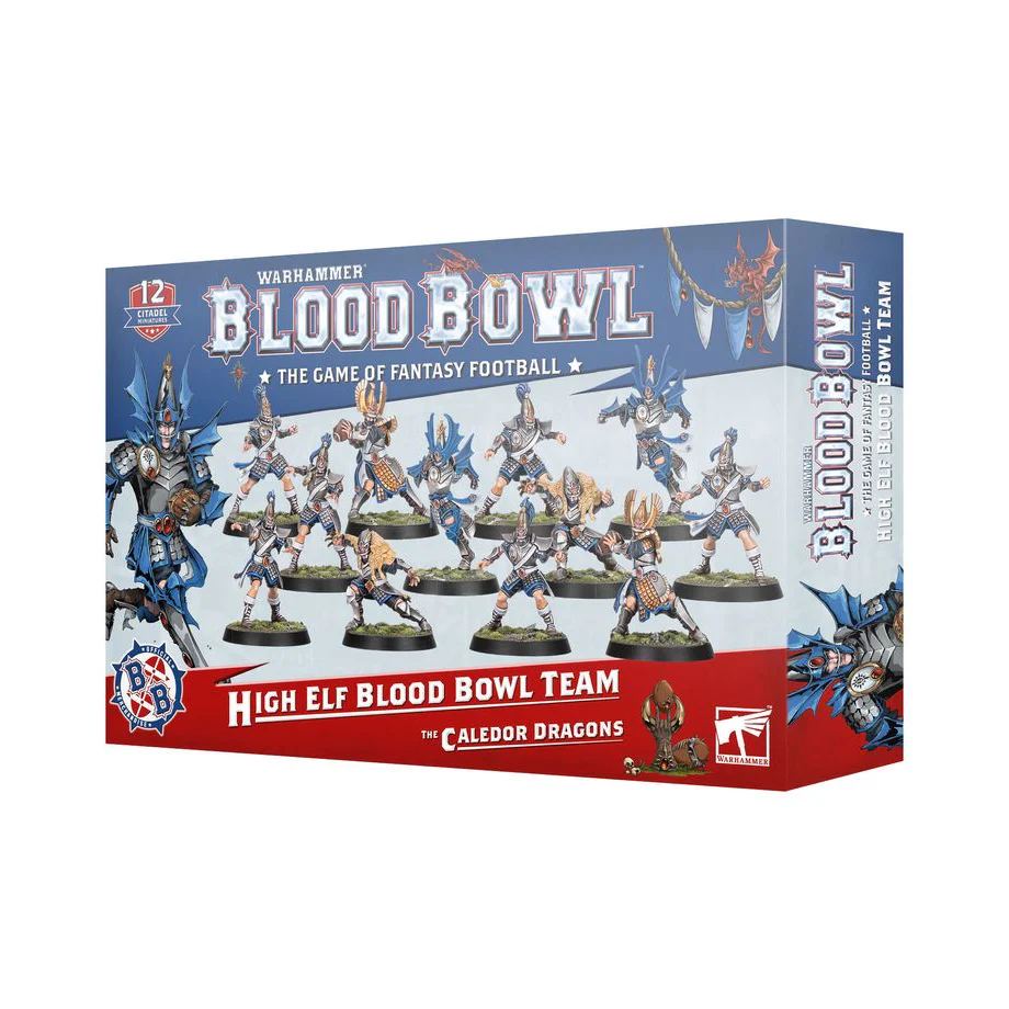 BLOOD BOWL HIGH ELF TEAM