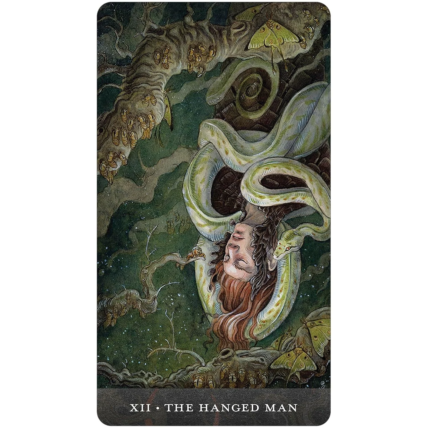BLOOD MOON TAROT DECK - Image 4