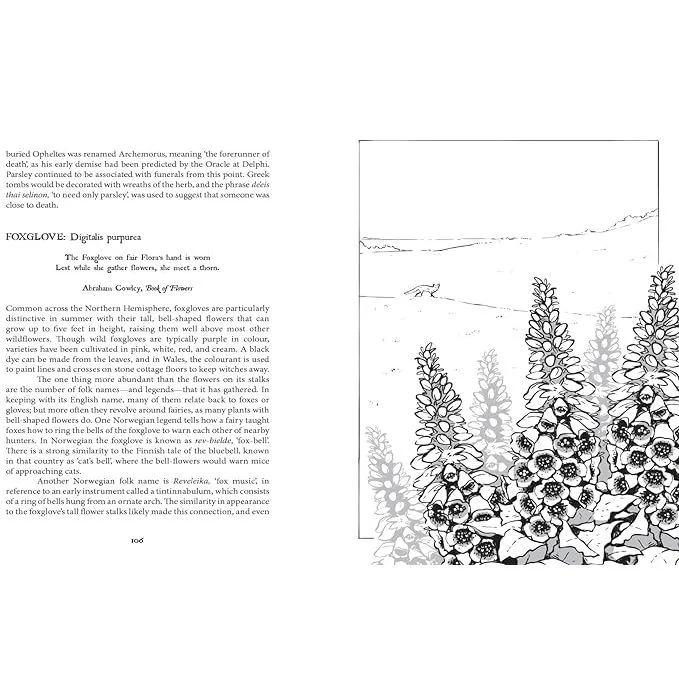 BOTANICAL CURSES AND POISONS: THE SHADOW LIVES OF PLANTS BY FEZ INKWRIGHT - Image 4
