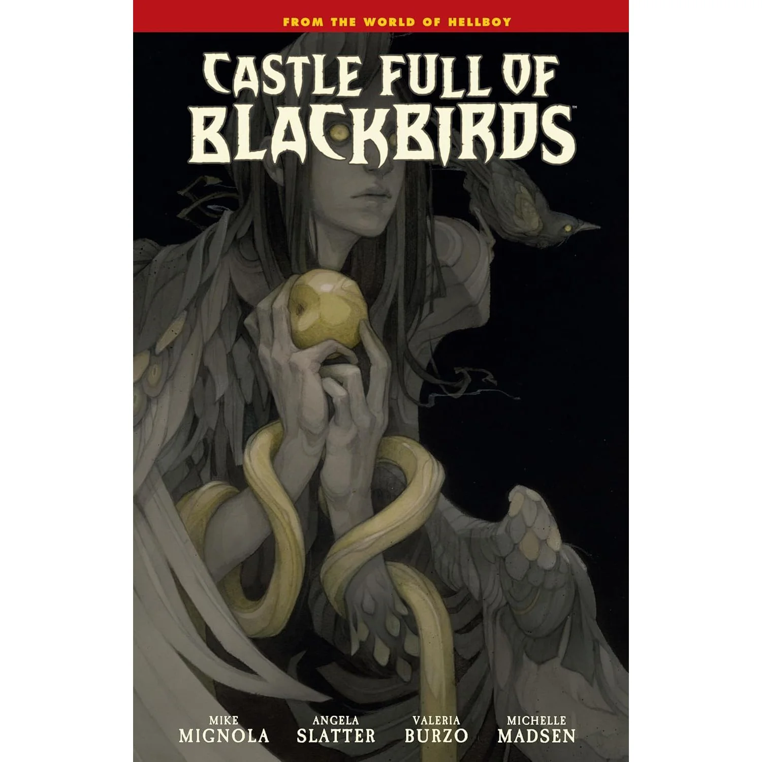 CASTLE FULL OF BLACKBIRDS GRAPHIC NOVEL