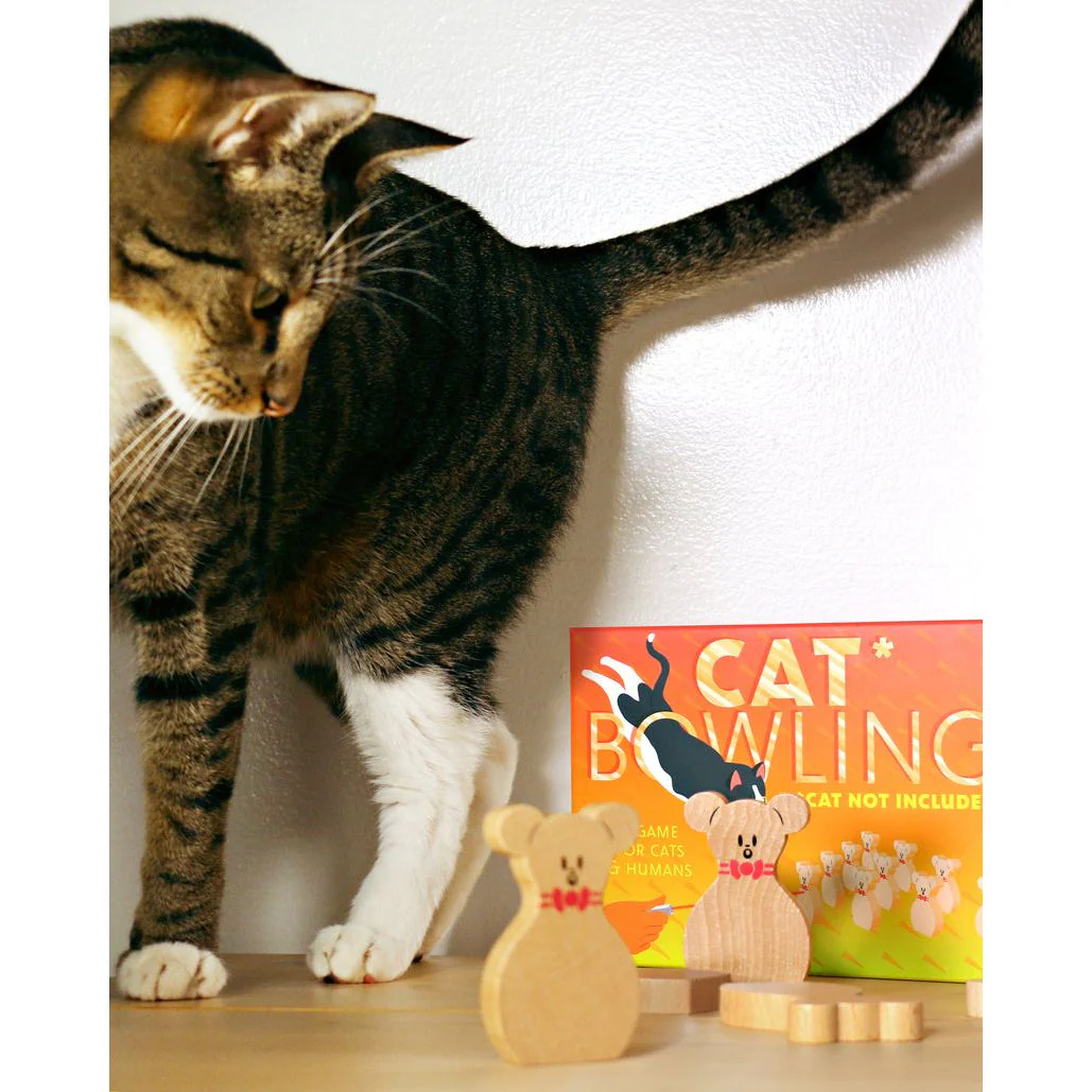 CAT BOWLING - Image 4