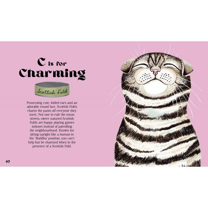 CATPHABET: A CAT ALPHABET BY JO STEWART - Image 2