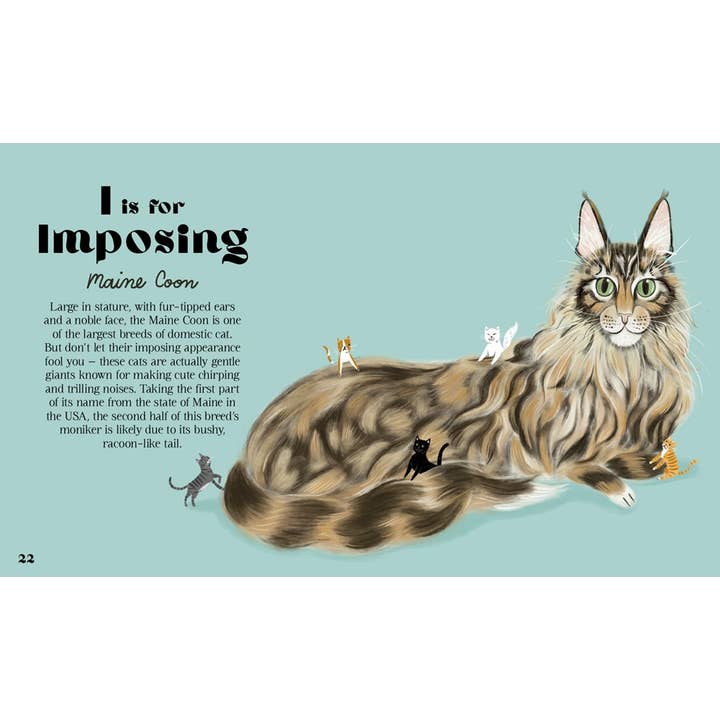 CATPHABET: A CAT ALPHABET BY JO STEWART - Image 3