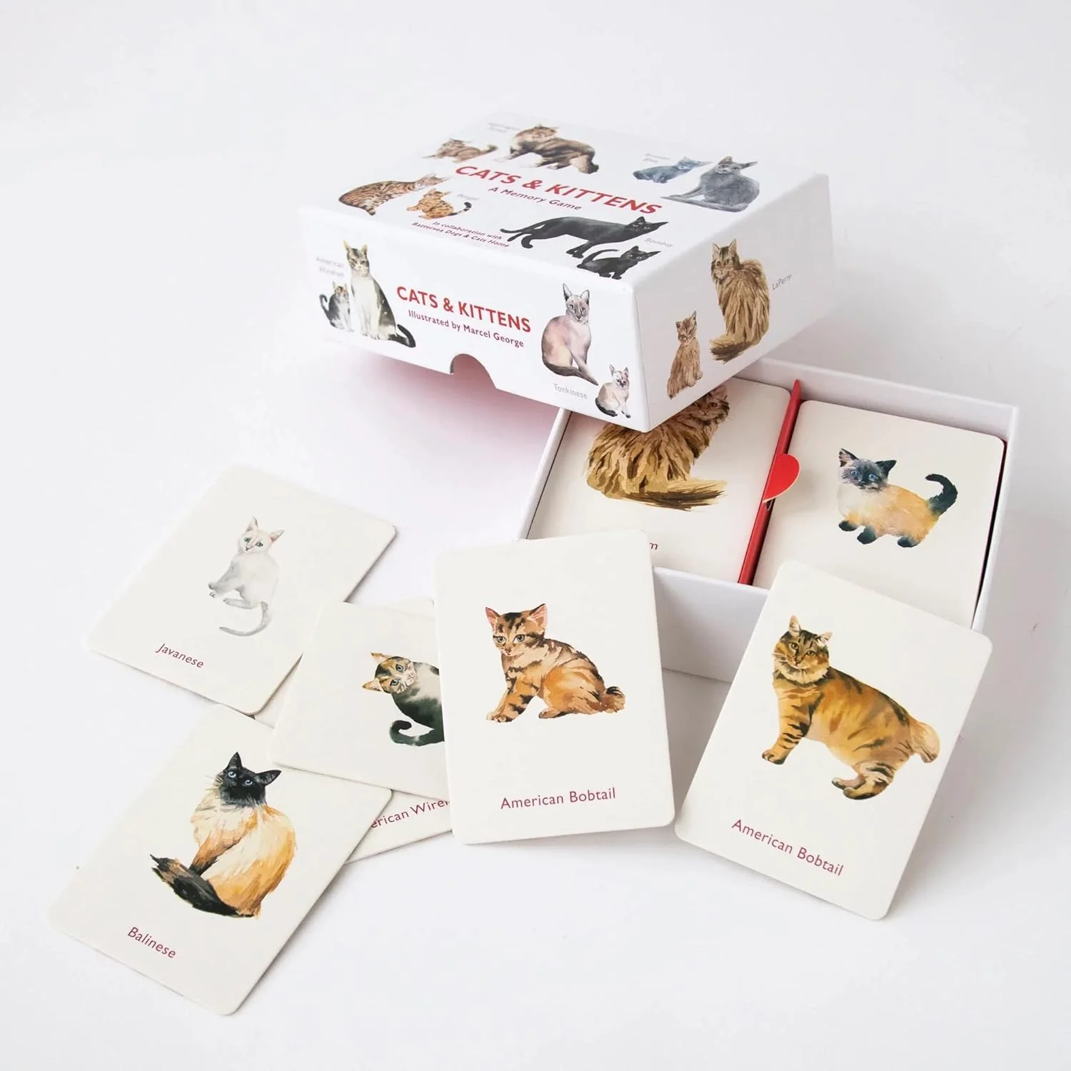 CATS AND KITTENS MEMORY GAME - Image 2