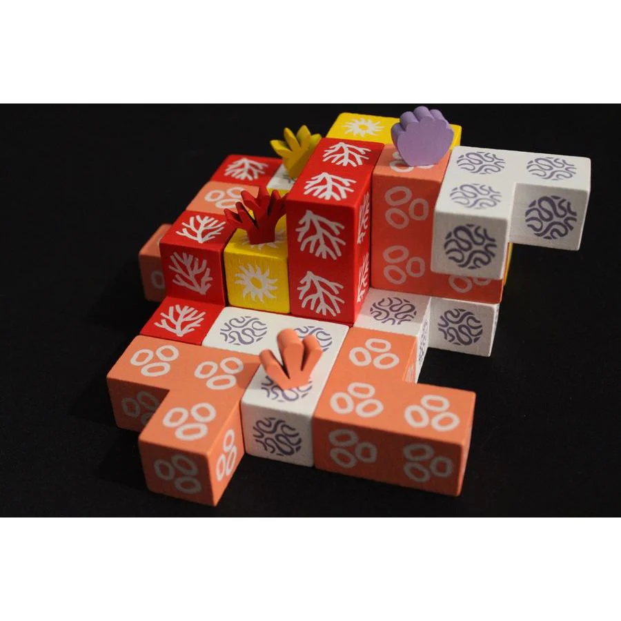 CORAL - Image 4