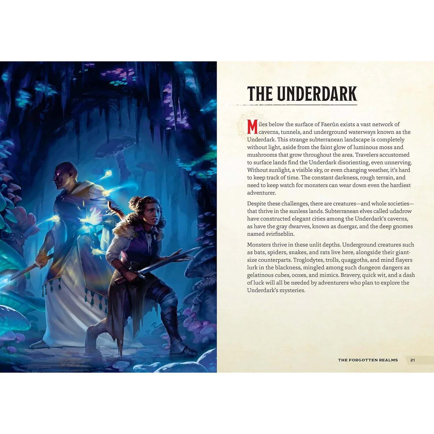 D&D PLACES AND PORTALS (A YOUNG ADVENTURER'S GUIDE) - Image 2