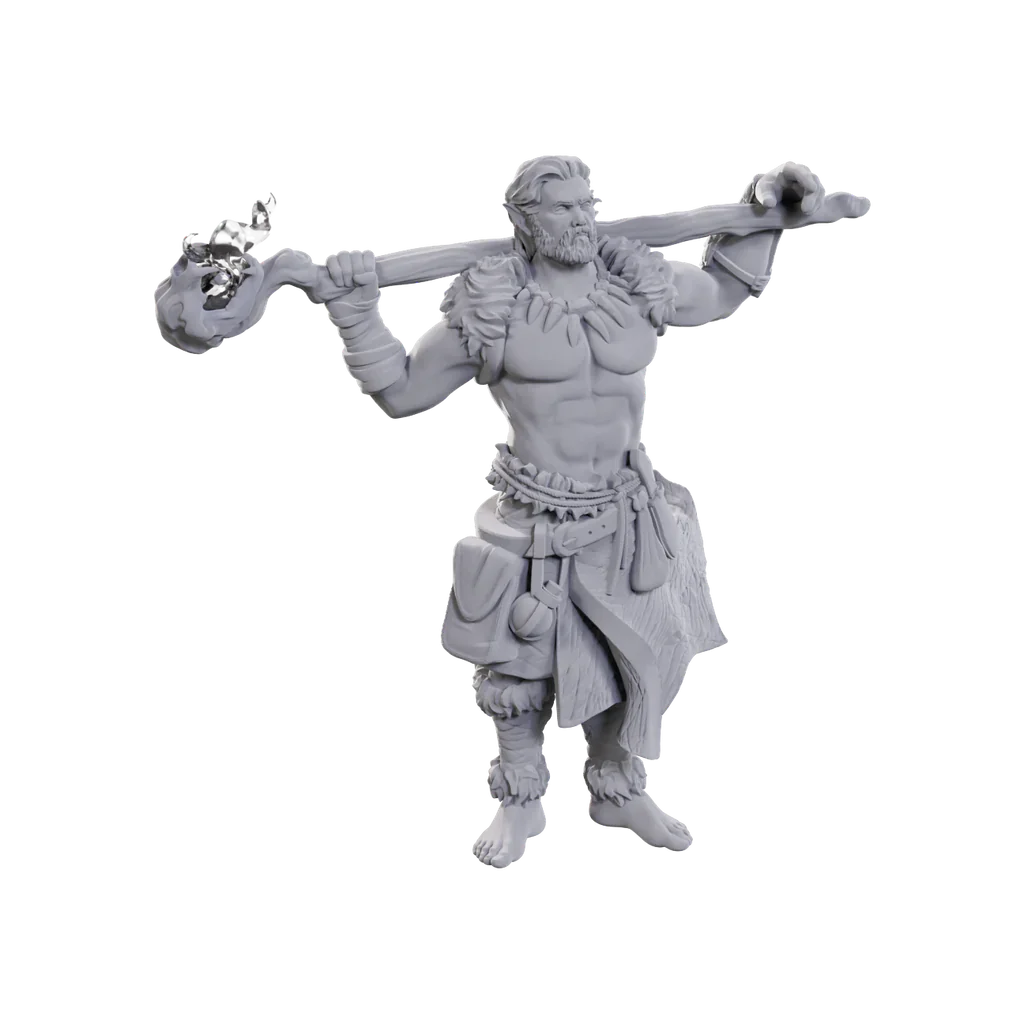 D&D NOLZUR'S ARCHDRUID & MARTIAL ARTS ADEPT - Image 2