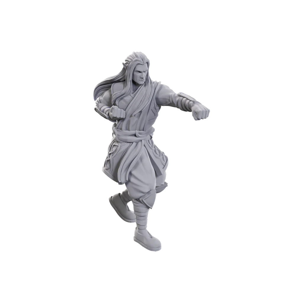 D&D NOLZUR'S ARCHDRUID & MARTIAL ARTS ADEPT - Image 3