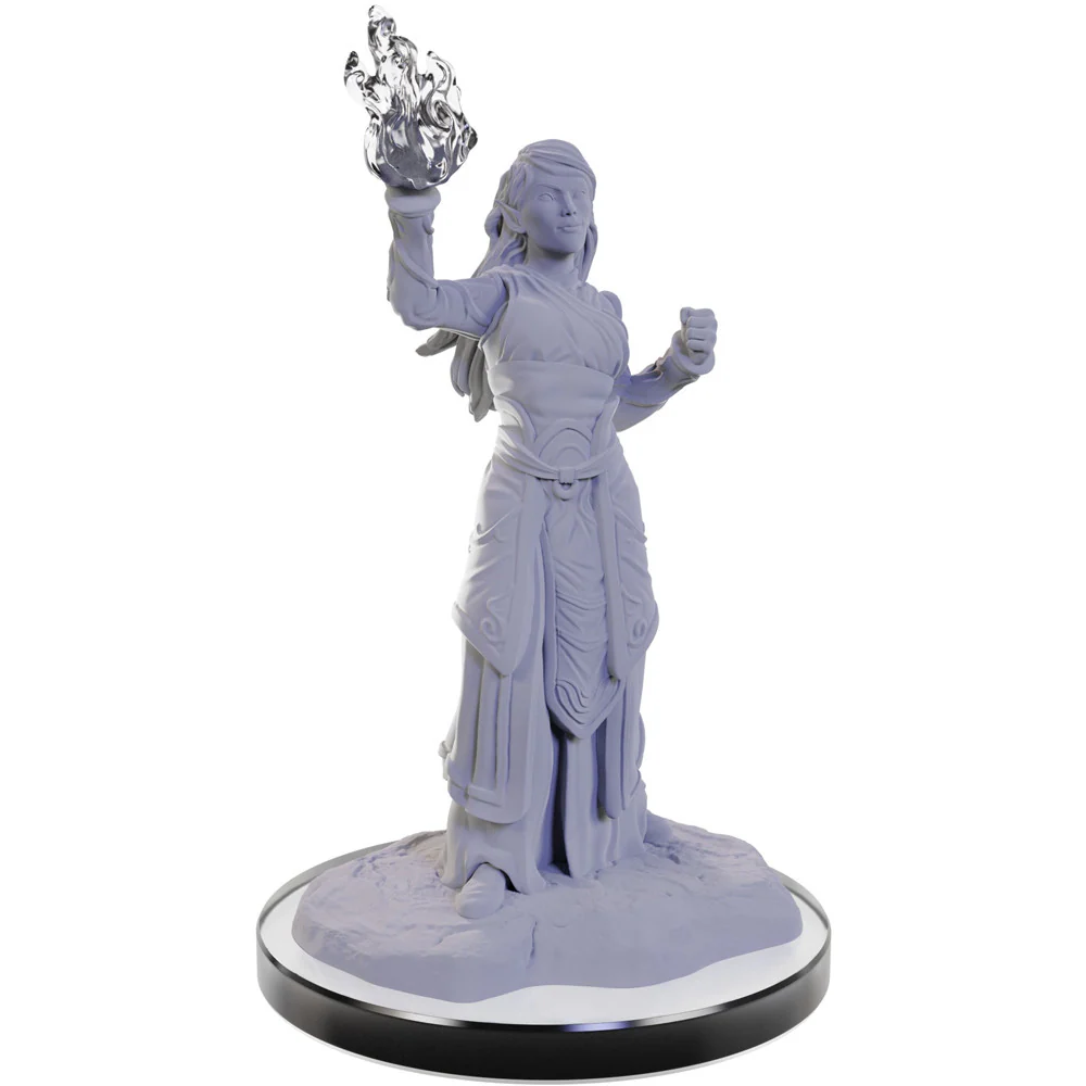 D&D NOLZUR'S ELF WIZARDS
