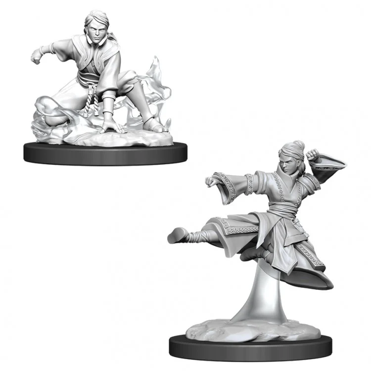 D&D NOLZUR'S FEMALE HUMAN MONK