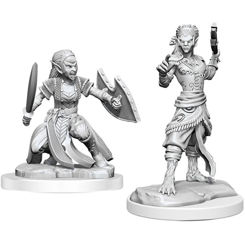 D&D NOLZUR'S SHIFTER FIGHTER