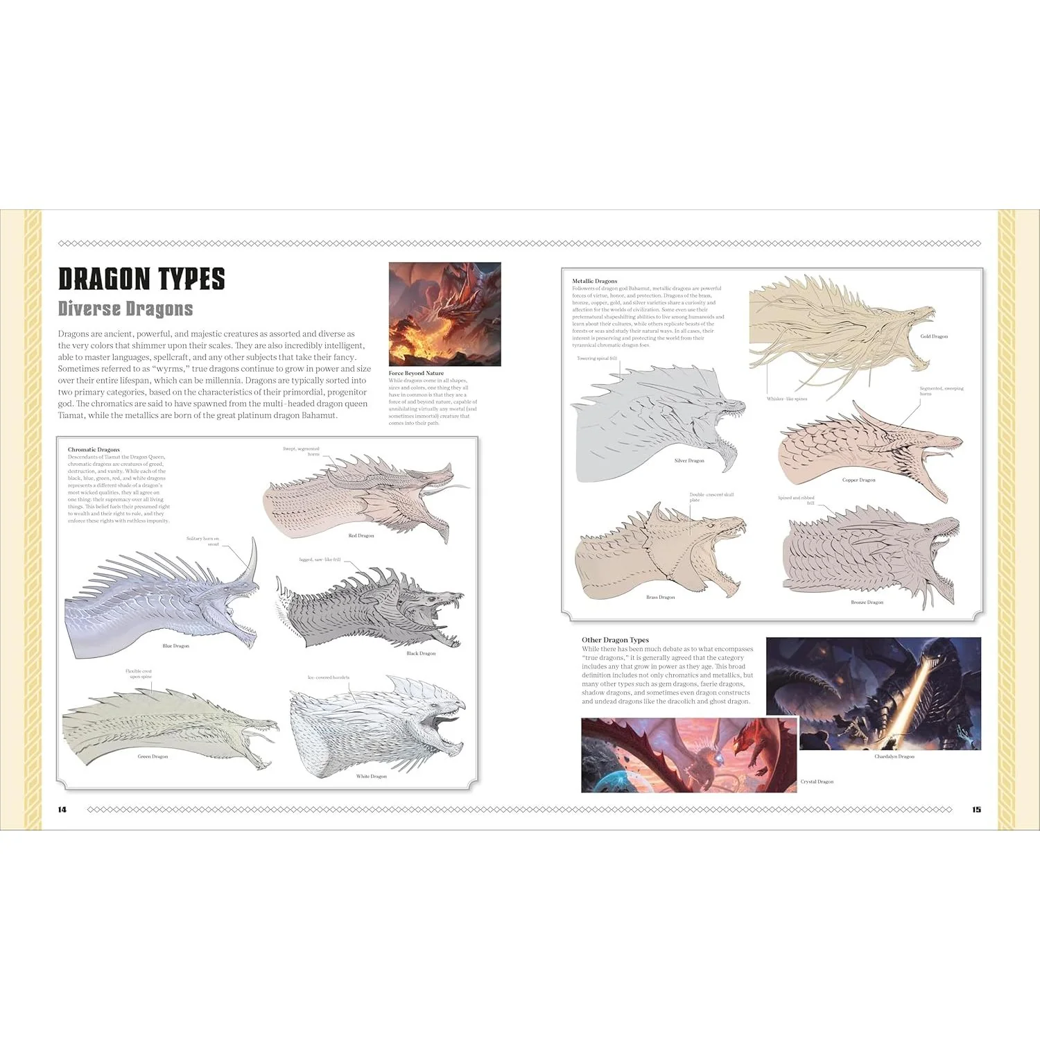D&D: THE BOOK OF DRAGONS (A DK BOOK) - Image 2