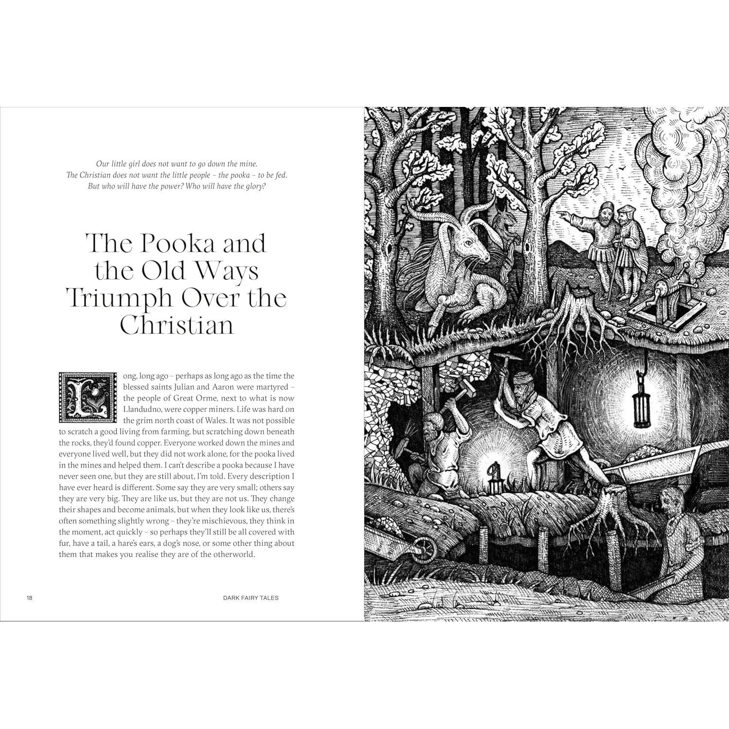 DARK FAIRY TALES BY VIKTOR WYND AND ILLUSTRATED BY LUCIANA NEDELEA - Image 2
