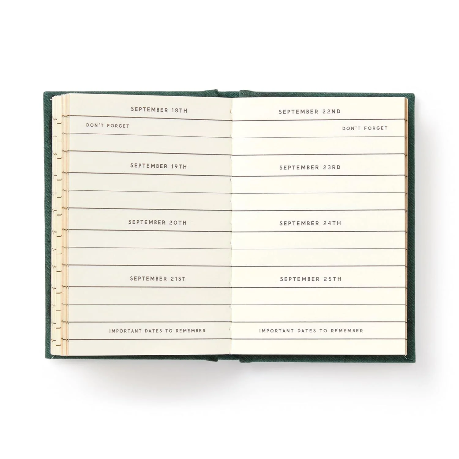 DATES PEOPLE GET MAD IF I FORGET (A TINY DIARY) - Image 3