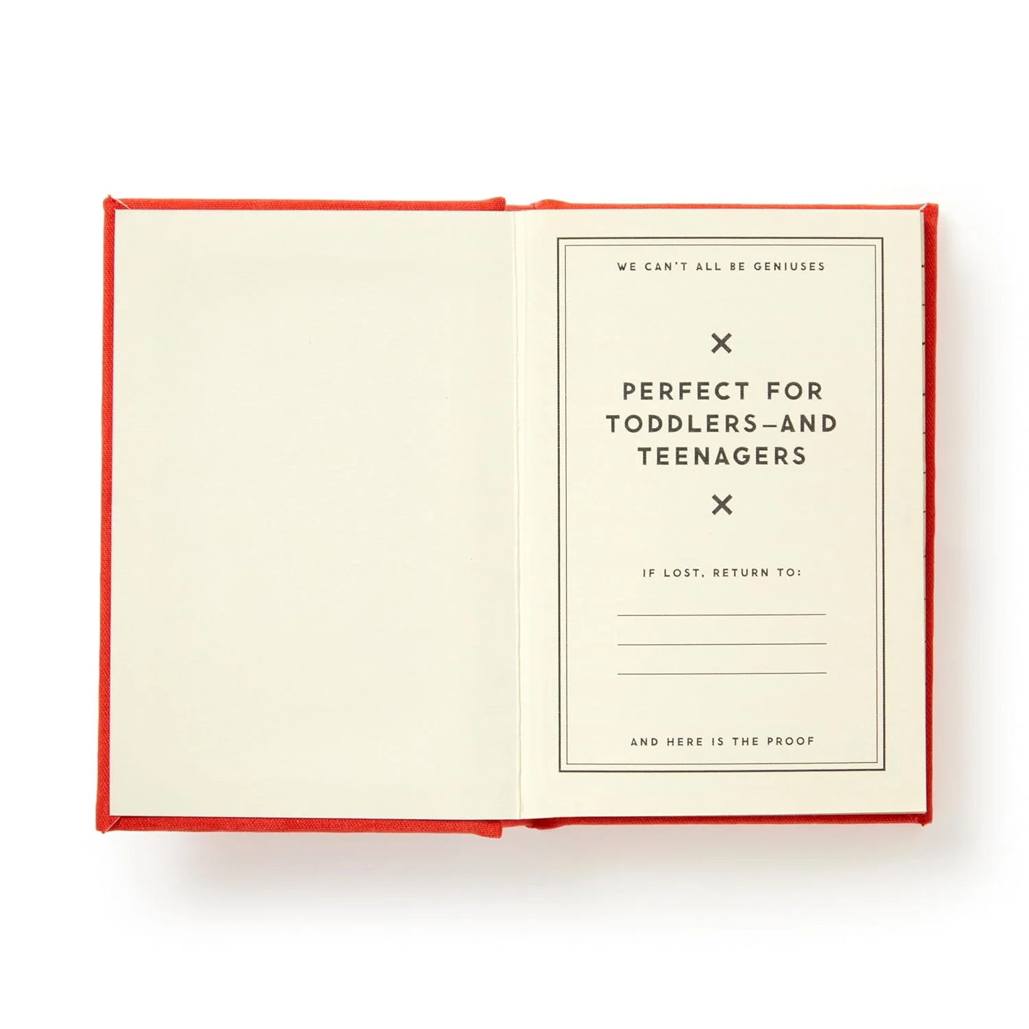 DUMB THINGS MY KIDS SAY (A TINY DIARY) - Image 2