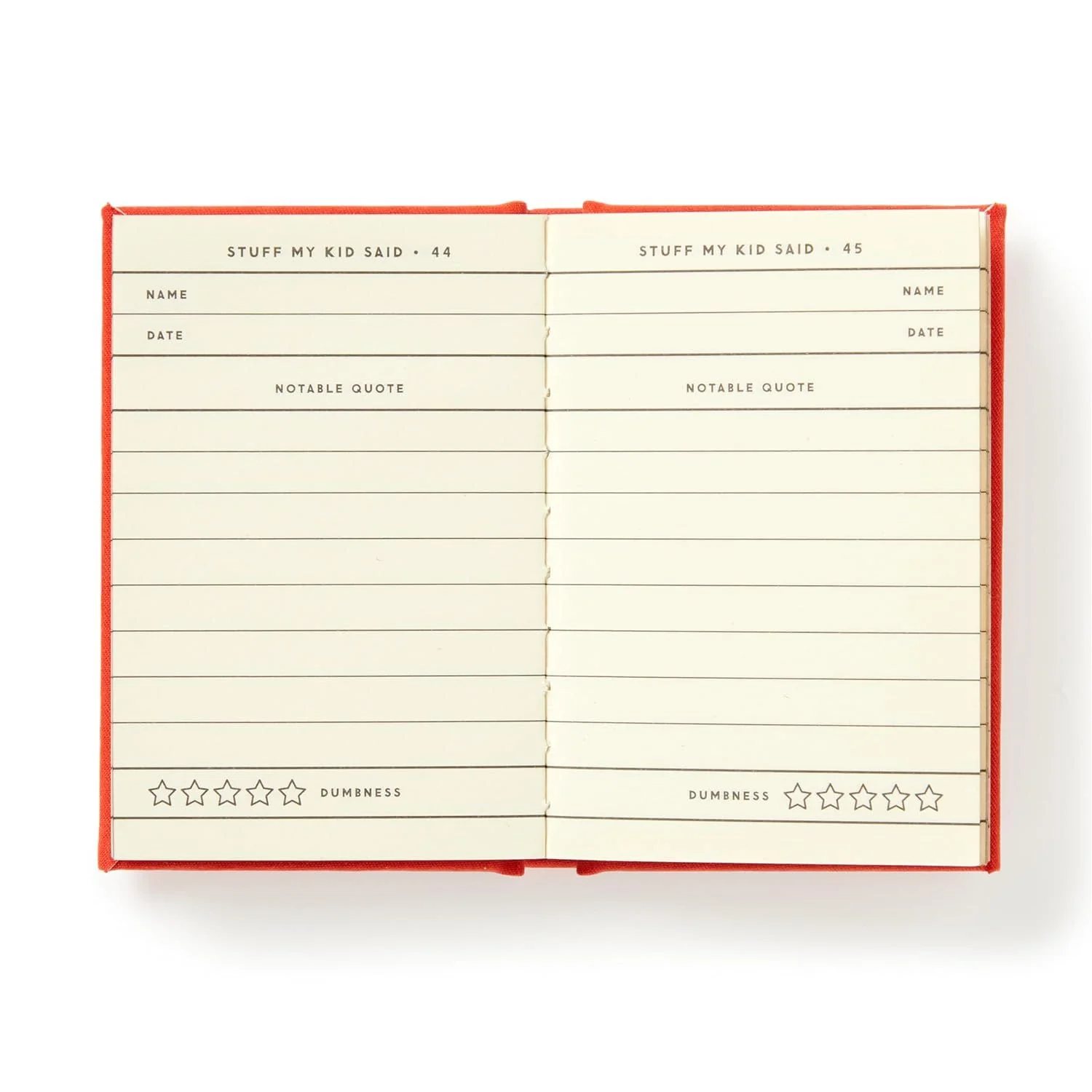 DUMB THINGS MY KIDS SAY (A TINY DIARY) - Image 3