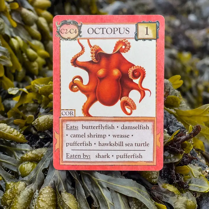 ECOLOGIES CARD GAME HIDDEN HABITATS EXPANSION - Image 3