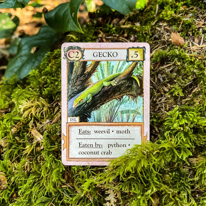 ECOLOGIES CARD GAME HIDDEN HABITATS EXPANSION - Image 4