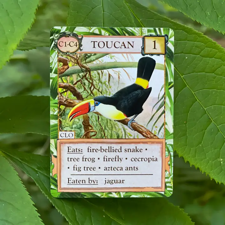 ECOLOGIES CARD GAME HIDDEN HABITATS EXPANSION - Image 5