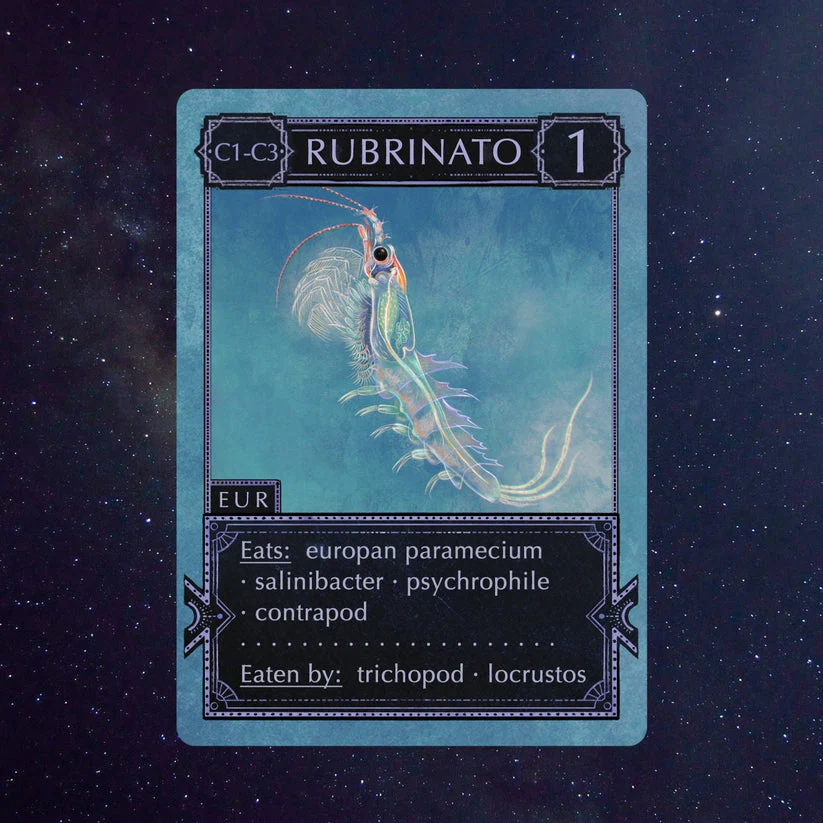 ECOLOGIES CARD GAME SOLAR SYSTEM EXPANSION - Image 4