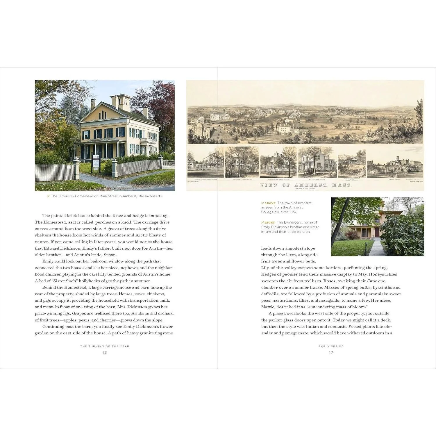 EMILY DICKINSON'S GARDENING LIFE: THE PLANTS & PLACES THAT INSPIRED THE ICONIC POET BY MARTA MCDOWELL - Image 3