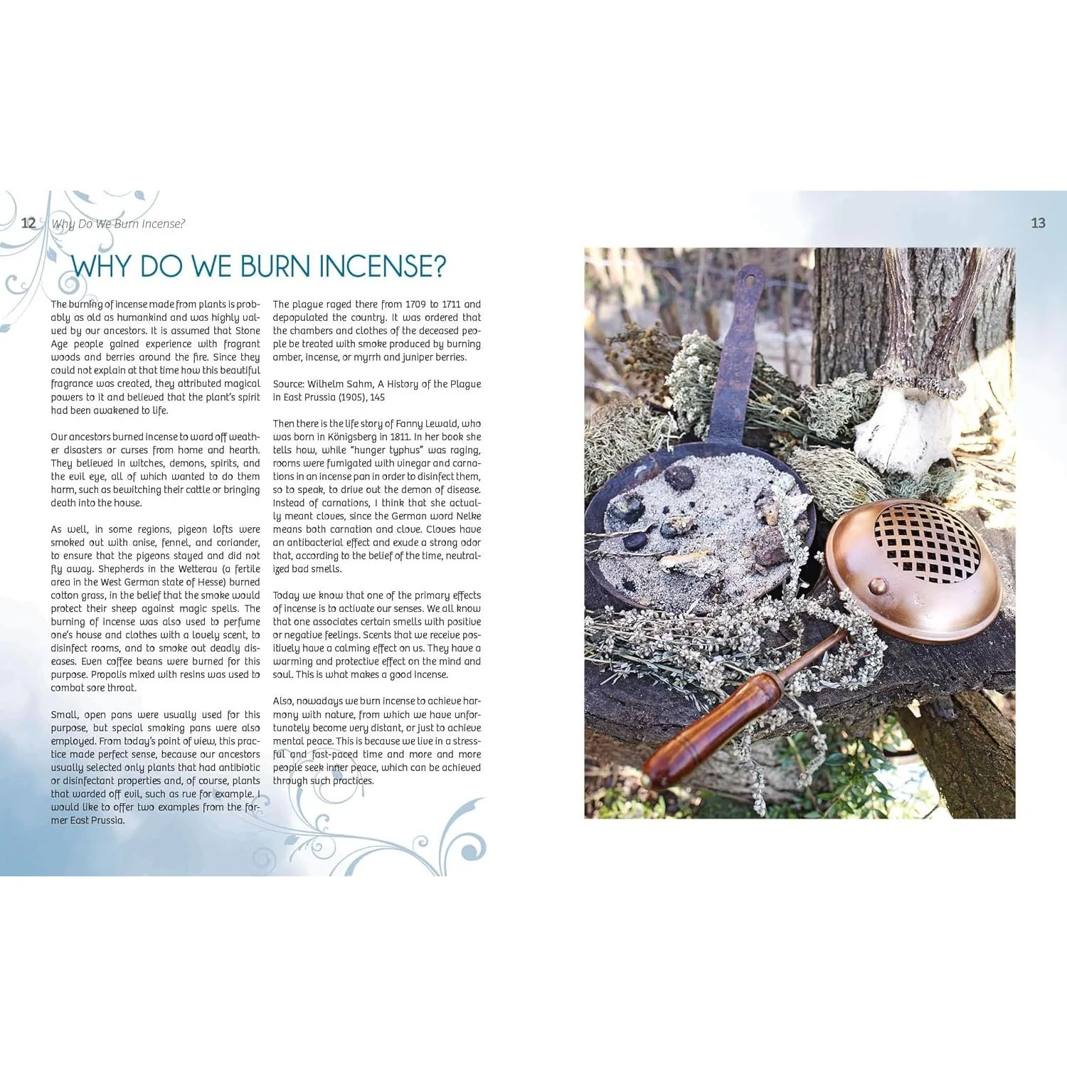 ESSENCE AND EMBER: GATHERING AND PREPARING HERBAL, RESIN, AND WOOD INCENSE BY KATJA PETERS - Image 3