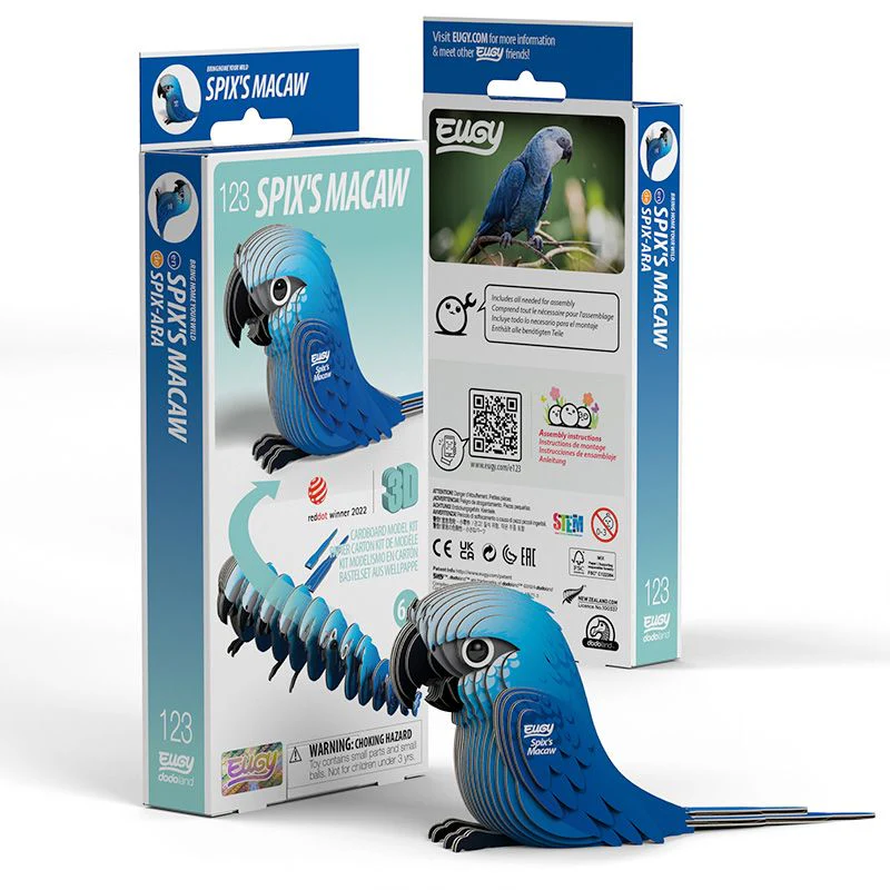 EUGY SPIX'S MACAW - Image 2