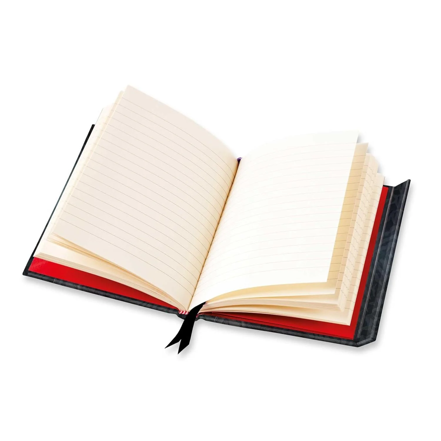 FIERCE DRAGON BLANK JOURNAL - Image 2