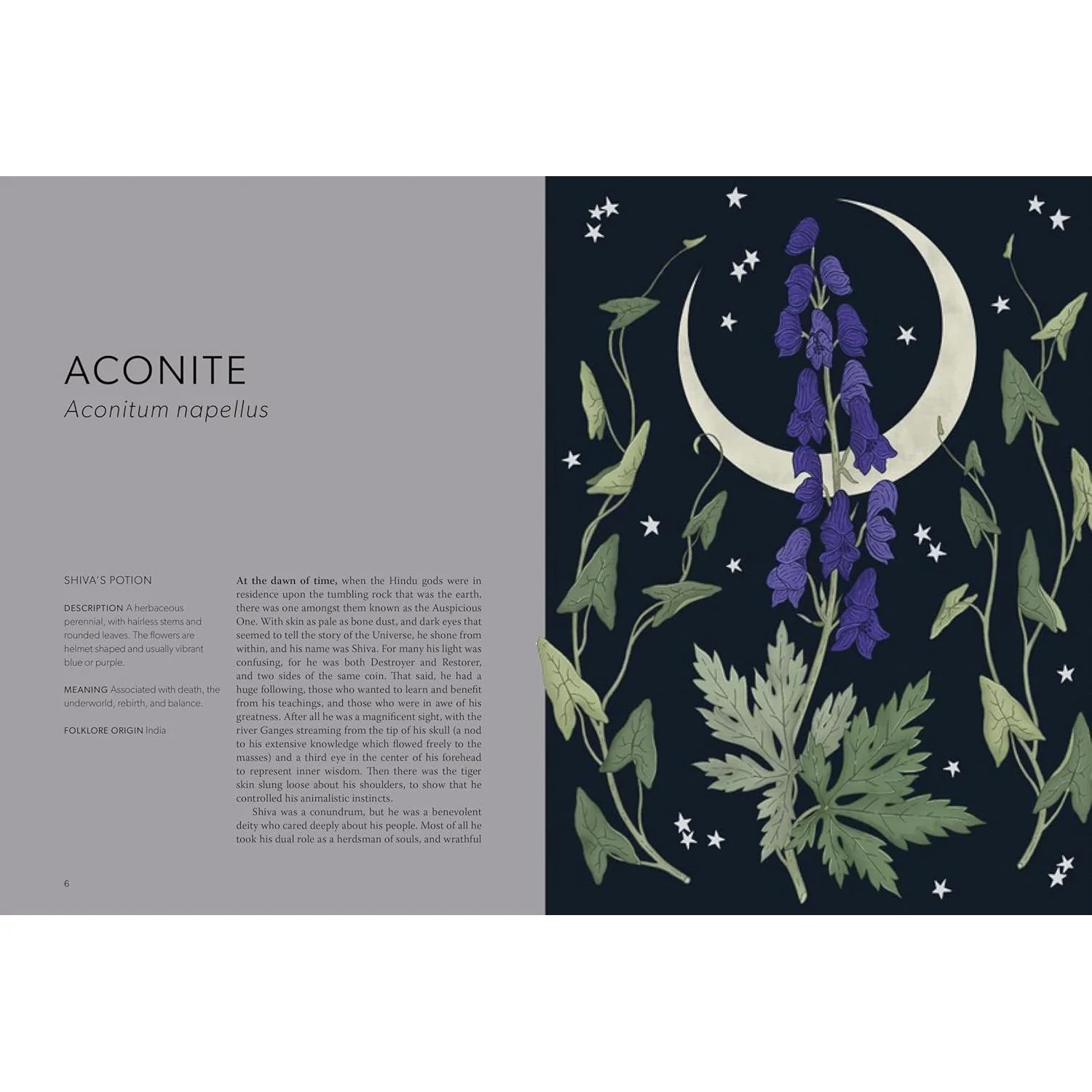 FLORAL FOLKLORE: THE FORGOTTEN TALES BEHIND NATURE'S MOST ENCHANTING PLANTS BY ALISON DAVIES - Image 2