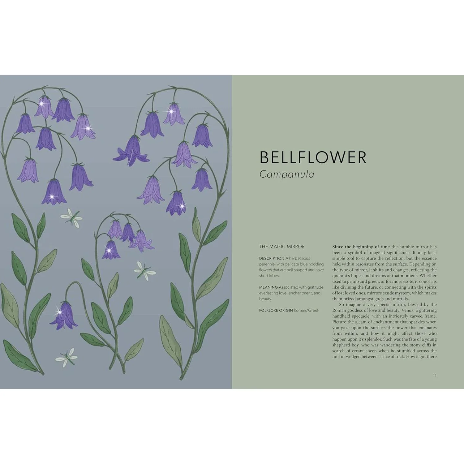 FLORAL FOLKLORE: THE FORGOTTEN TALES BEHIND NATURE'S MOST ENCHANTING PLANTS BY ALISON DAVIES - Image 3