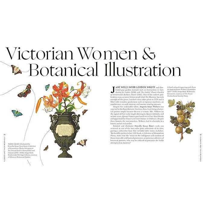 FLOWERS AND THEIR MEANINGS: THE SECRET LANGUAGE AND HISTORY OF OVER 600 BLOOMS BY KAREN AZOULAY - Image 2