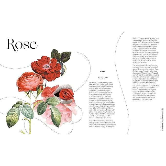 FLOWERS AND THEIR MEANINGS: THE SECRET LANGUAGE AND HISTORY OF OVER 600 BLOOMS BY KAREN AZOULAY - Image 3
