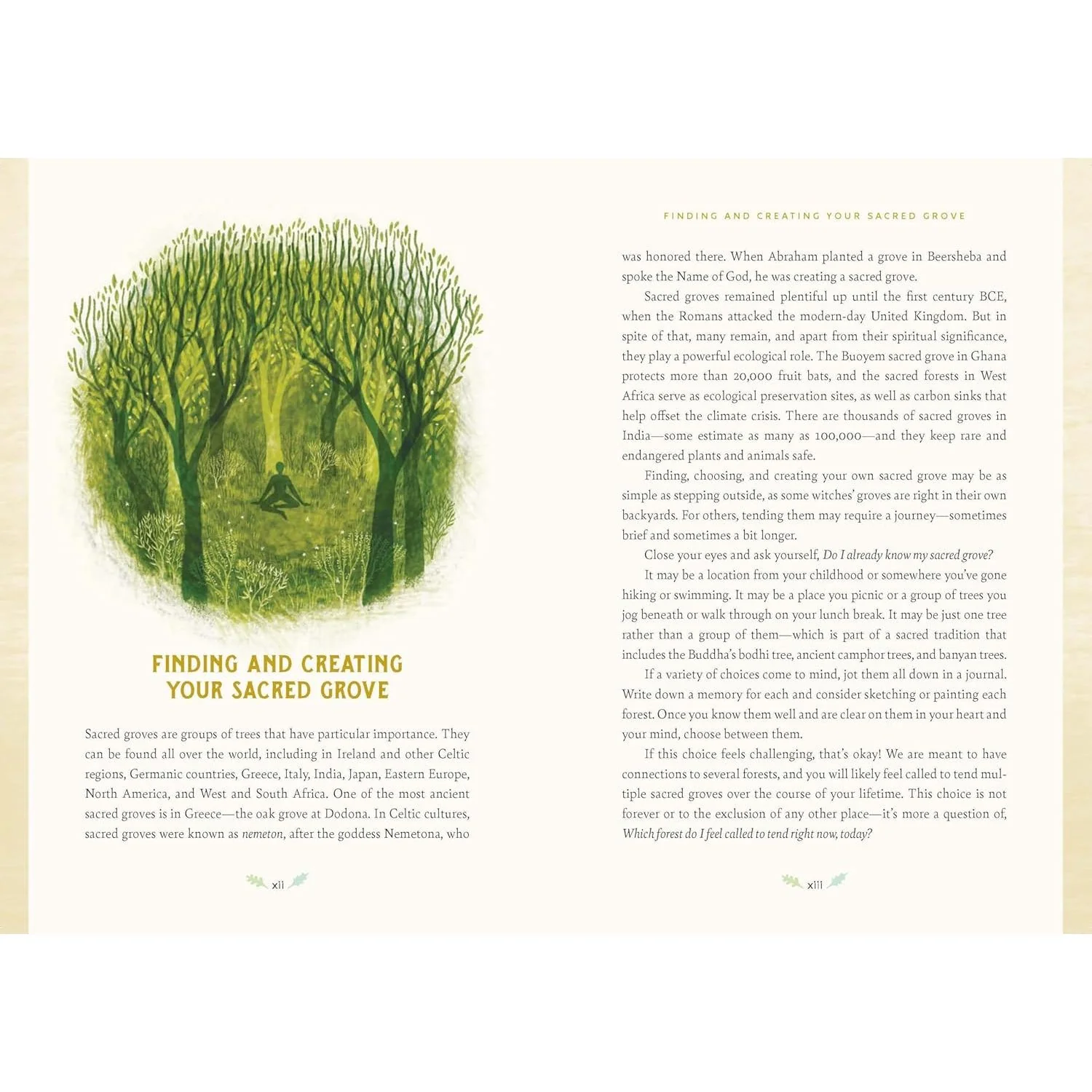 FOREST MAGIC: RITUALS AND SPELLS FOR THE GREEN WITCH BY NIKKI DE CAR - Image 2