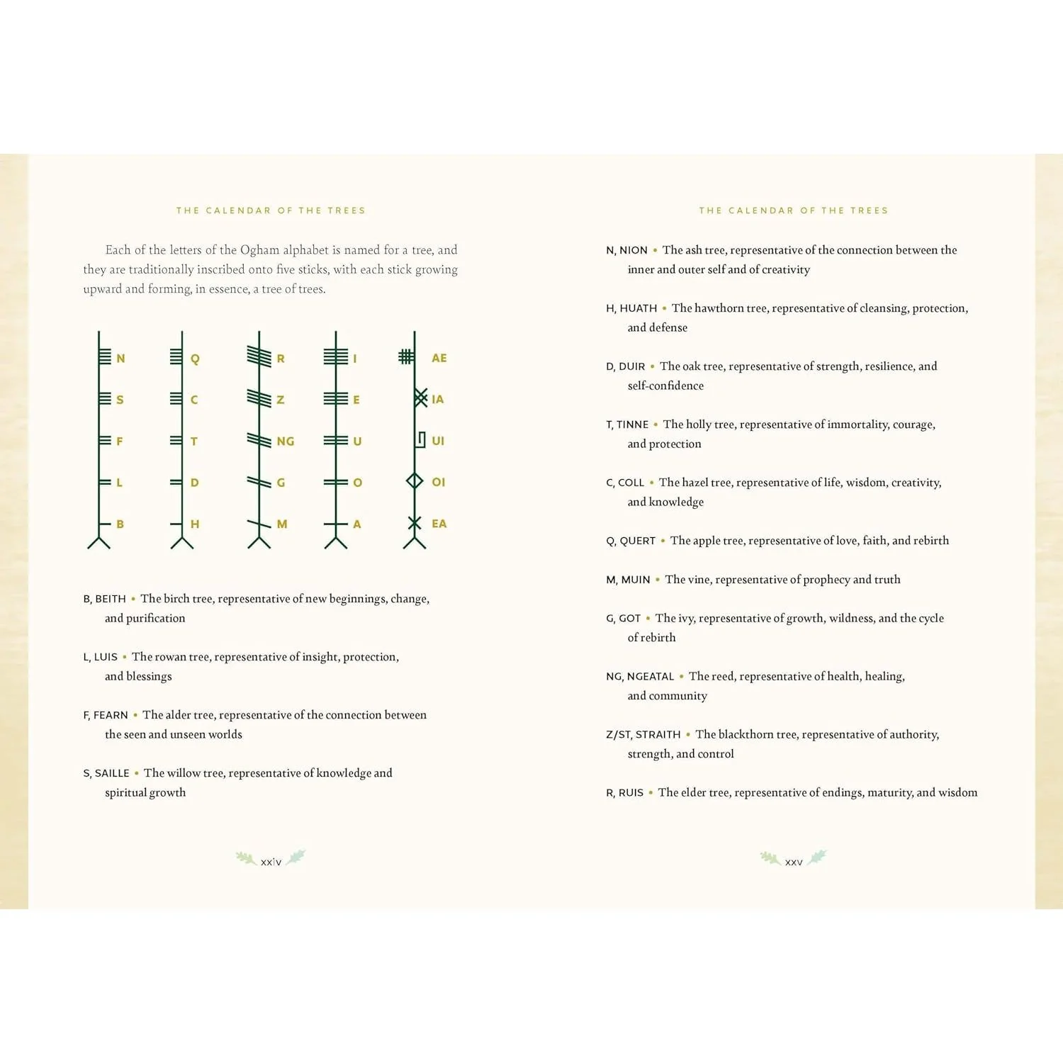 FOREST MAGIC: RITUALS AND SPELLS FOR THE GREEN WITCH BY NIKKI DE CAR - Image 3