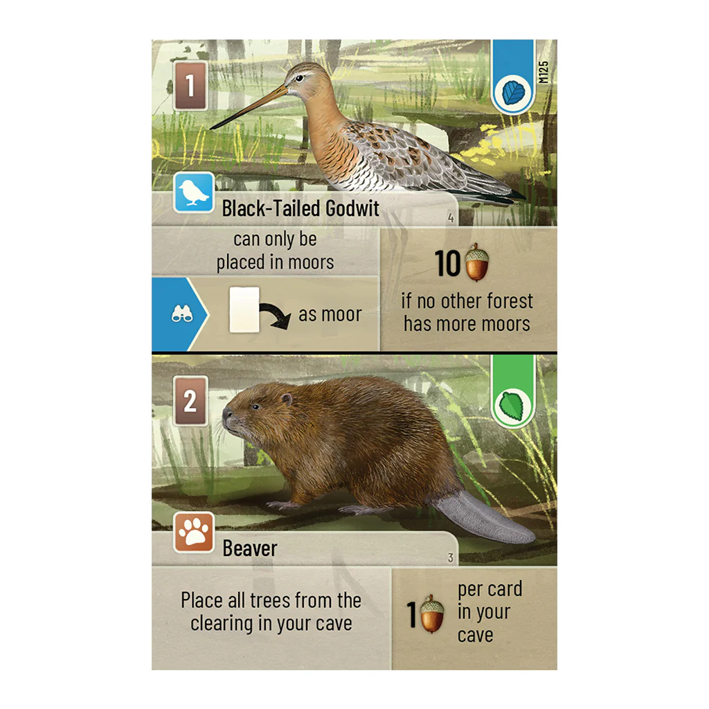 FOREST SHUFFLE: DARTMOOR STAND-ALONE GAME - Image 2
