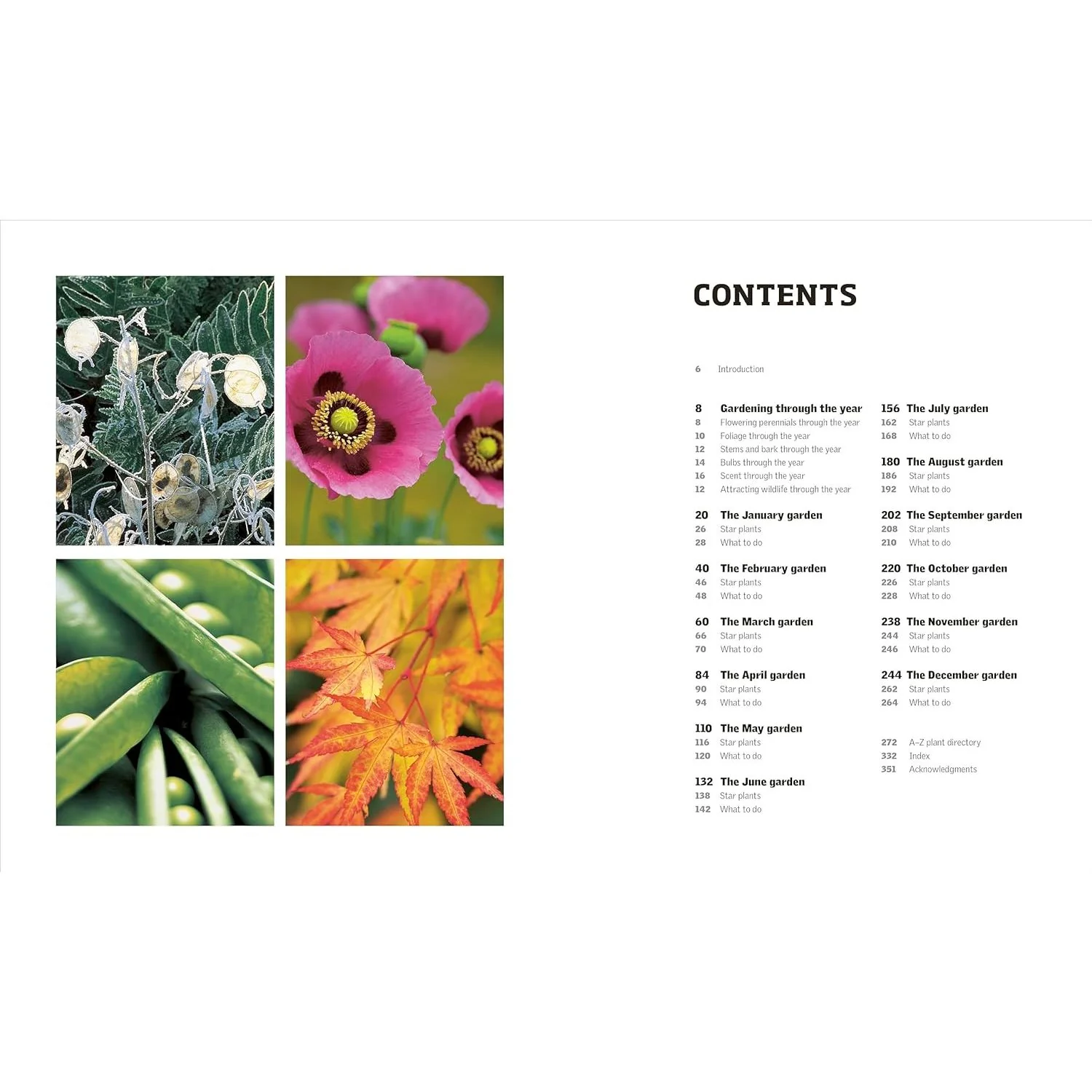 GARDENING THROUGH THE YEAR: MONTH BY MONTH PLANNING, INSTRUCTIONS, AND INSPIRATION BY IAN SPENCE - Image 2