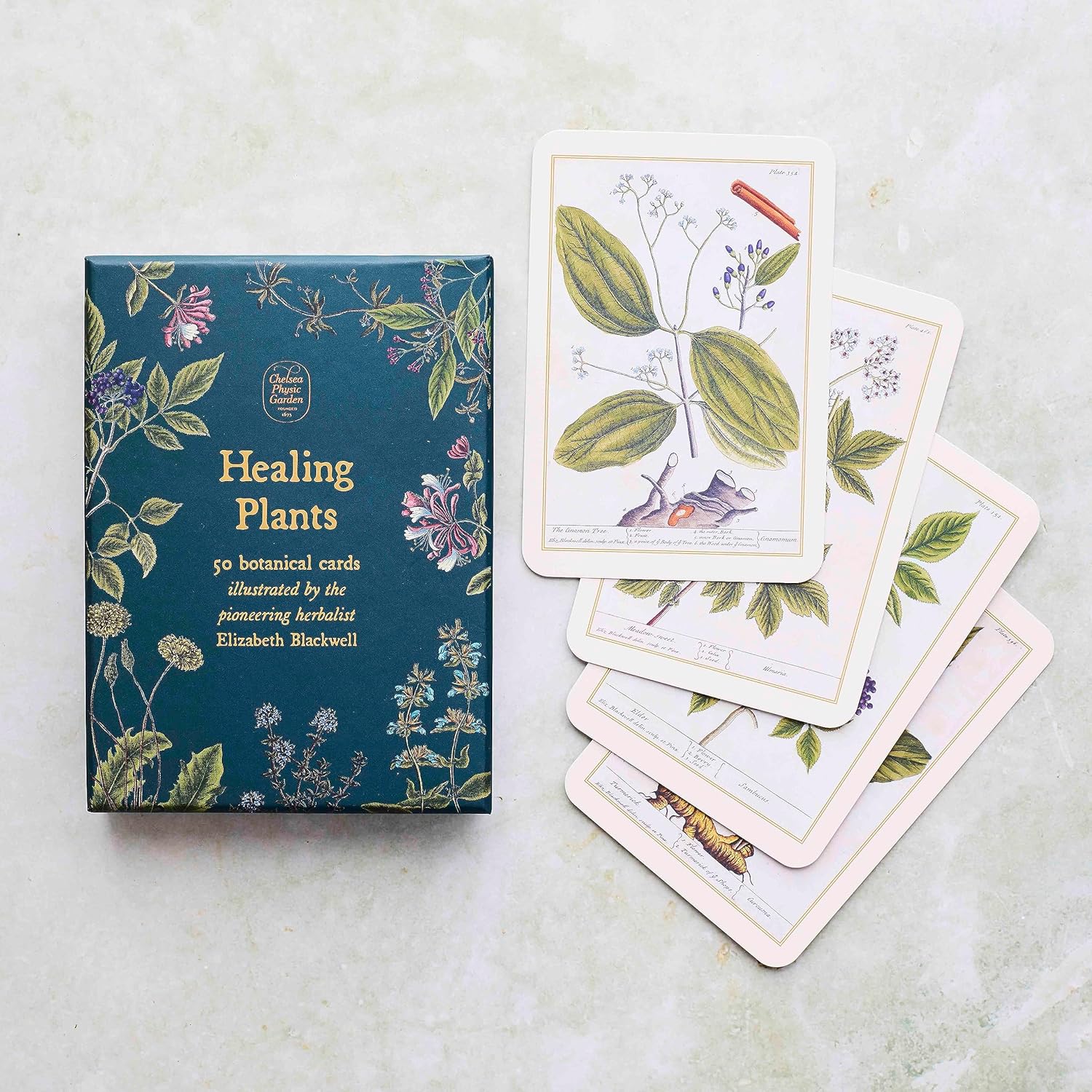 HEALING PLANTS 50 BOTANICAL CARDS - Image 2
