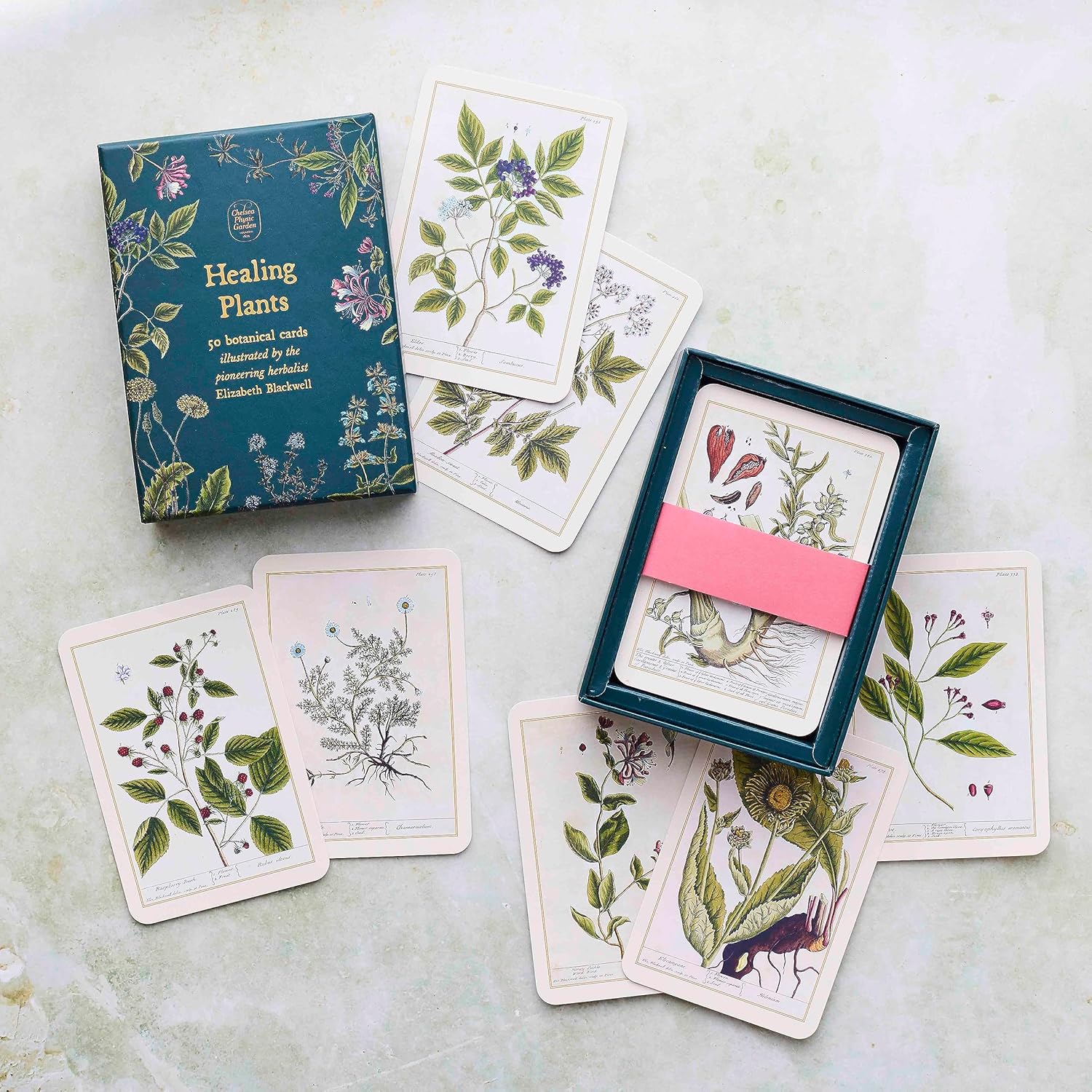 HEALING PLANTS 50 BOTANICAL CARDS - Image 3