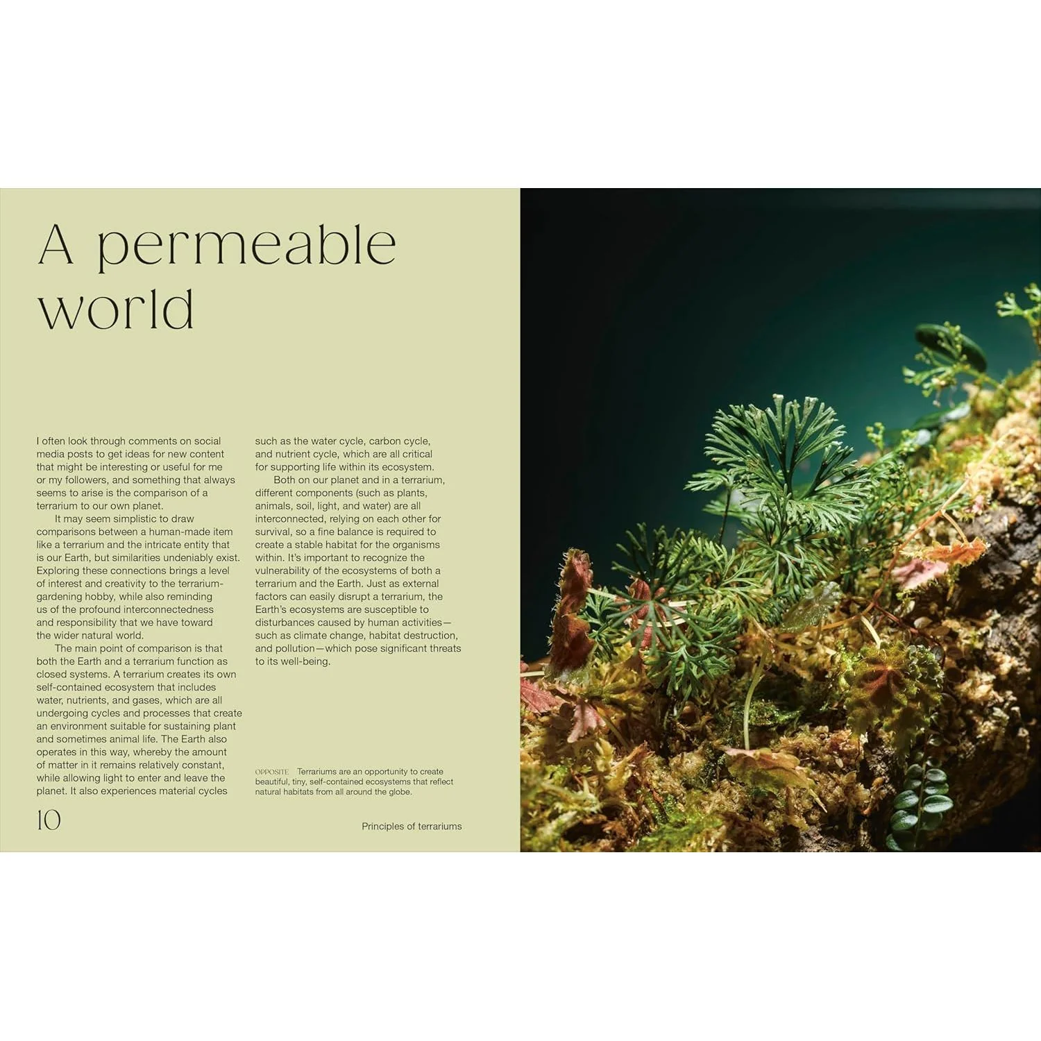 HELLO TINY WORLD BY BEN NEWELL - Image 3