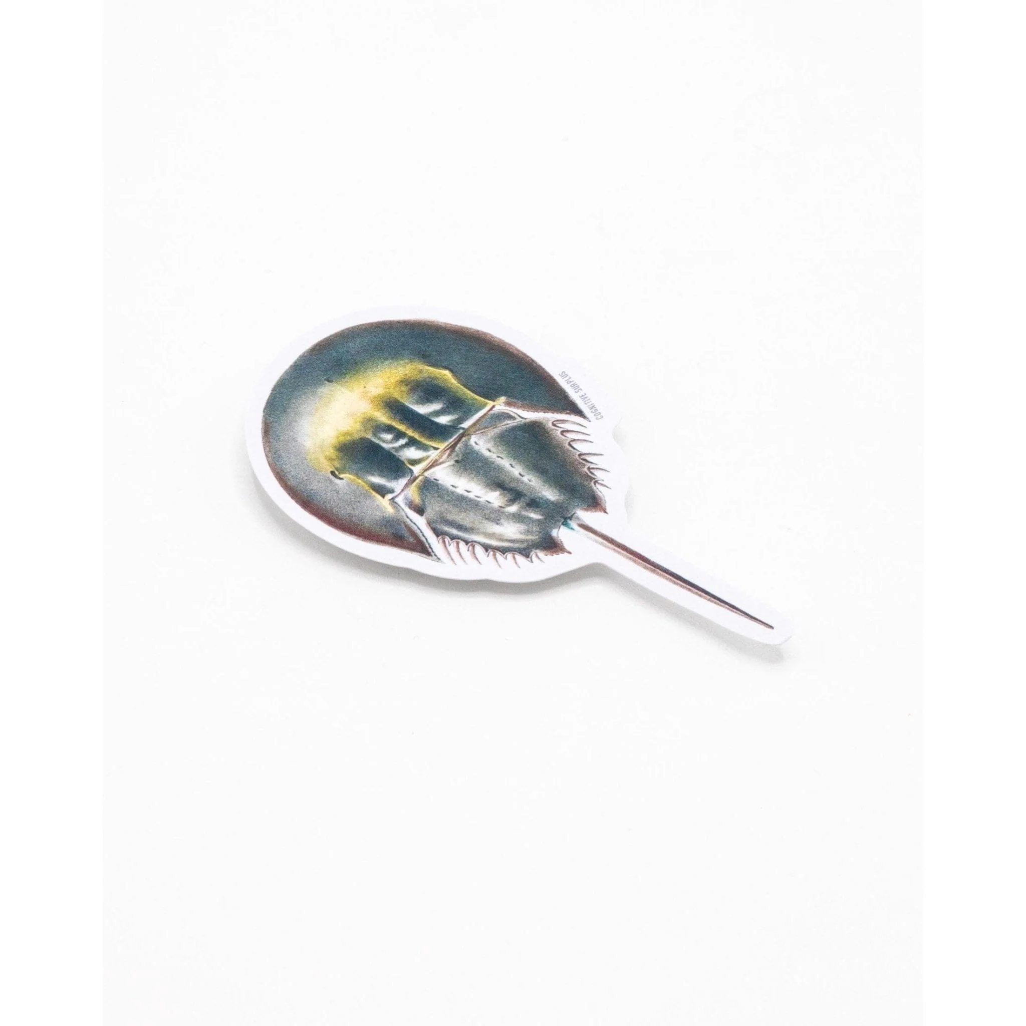 HORSESHOE CRAB STICKER