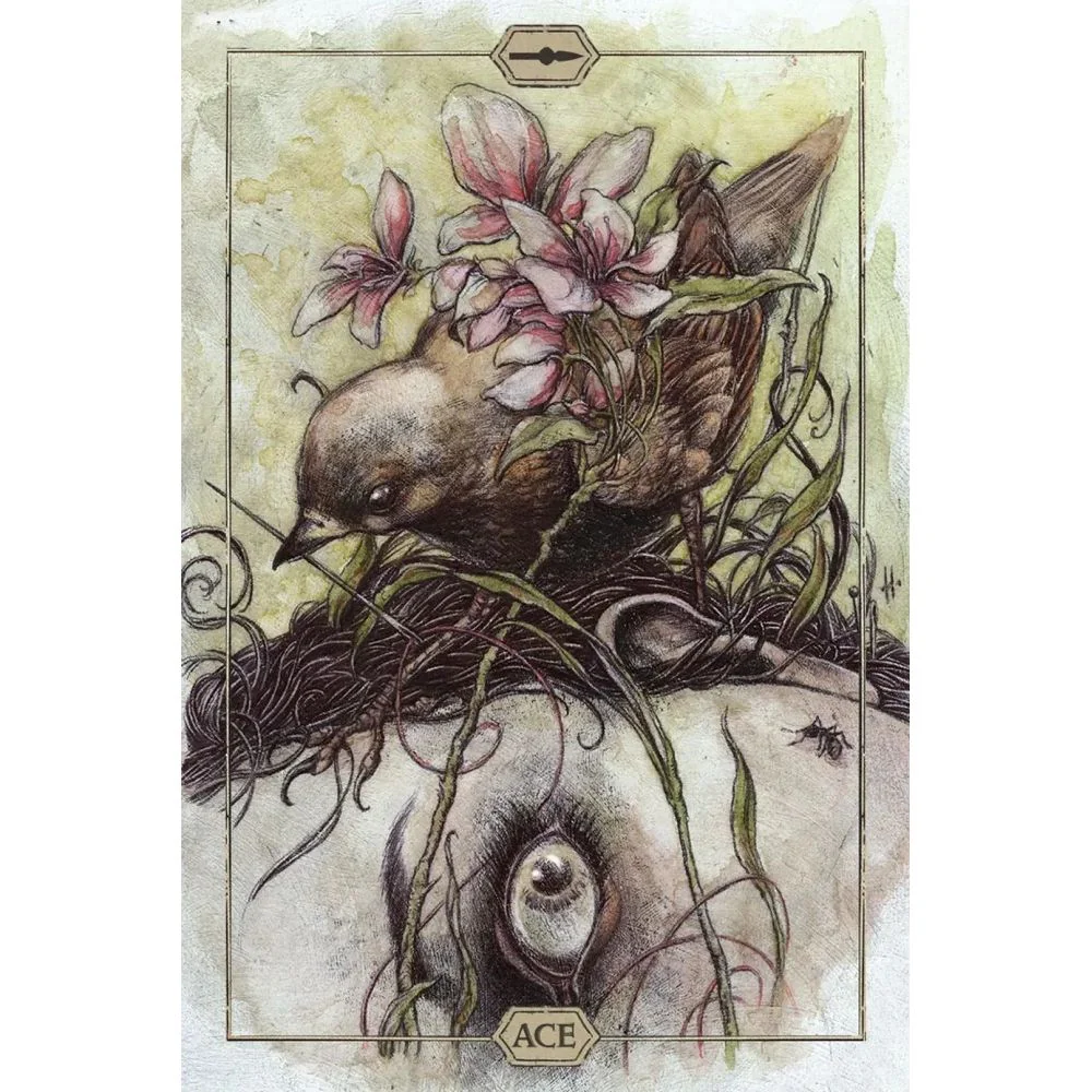 HUSH TAROT - Image 3