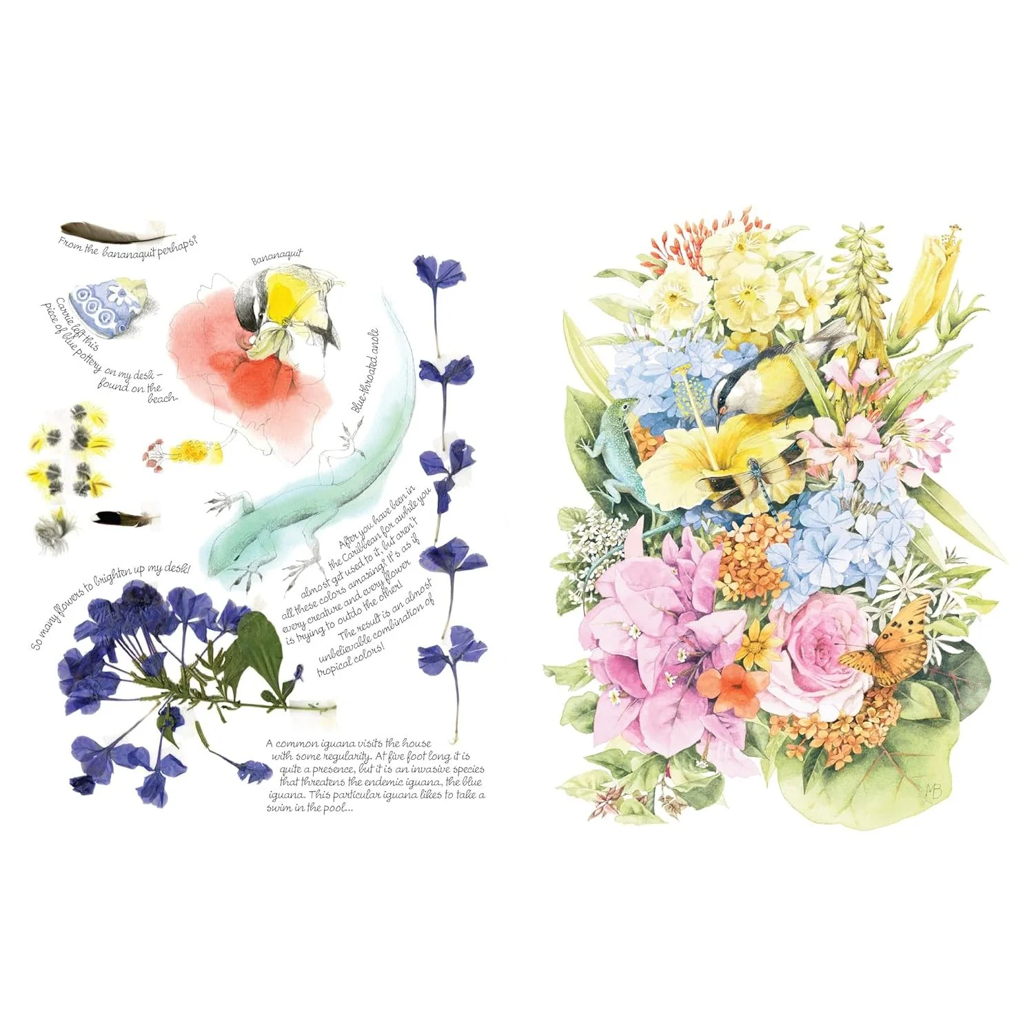INSPIRED BY NATURE SKETCHBOOK BY MARJOLEIN BASTIN - Image 4